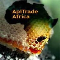 apitrade-africa-logo